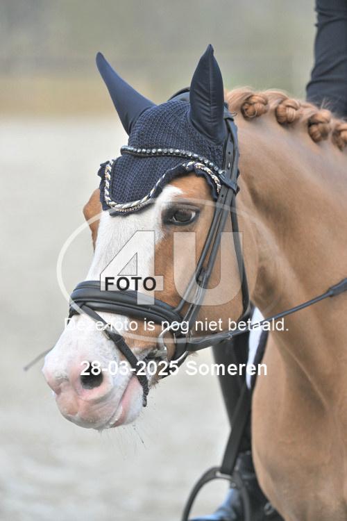 250328 1864