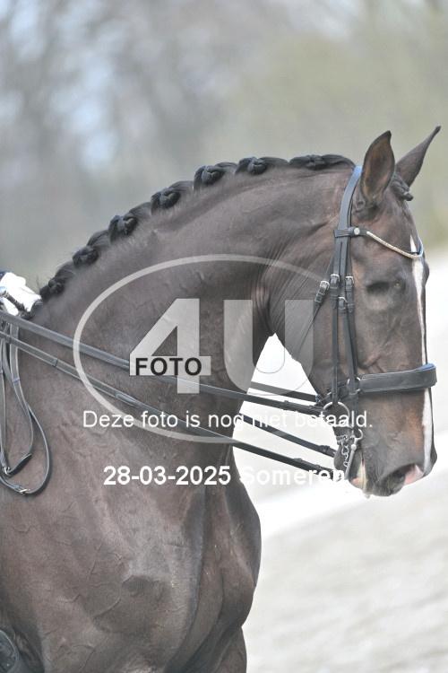 250328 1873