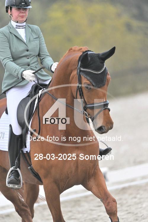 250328 1981