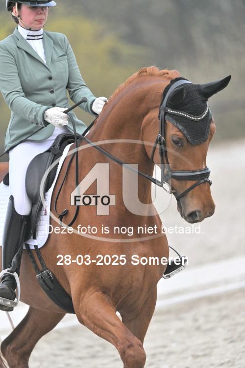 250328 1982