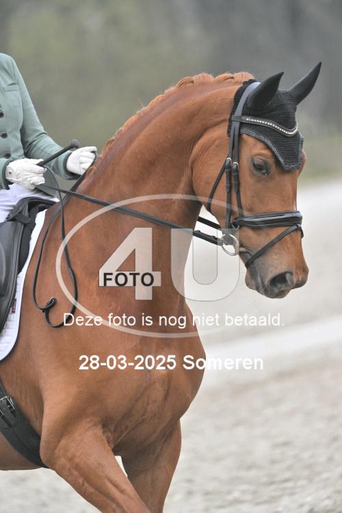 250328 1984