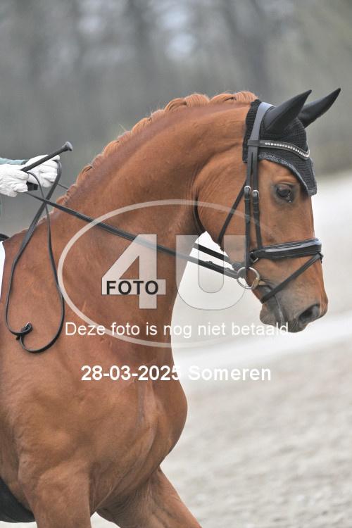 250328 1985