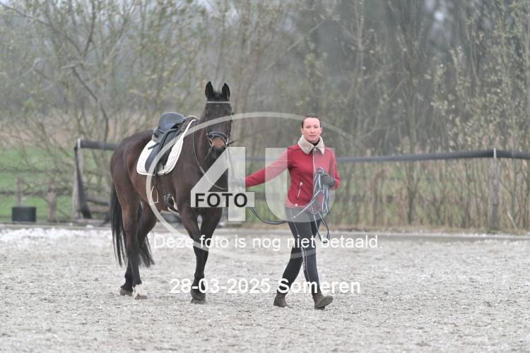 250328 2060