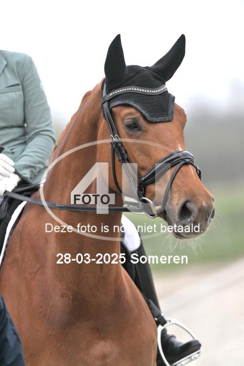 250328 2062