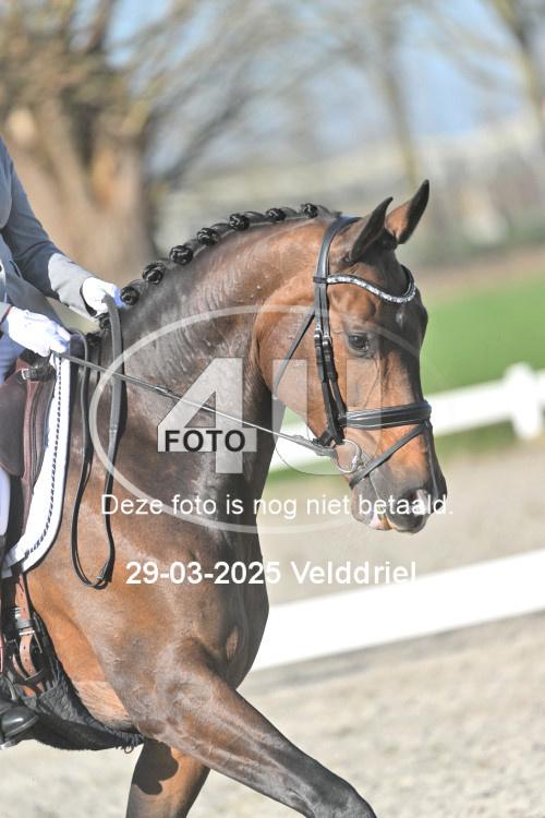 250329 0074