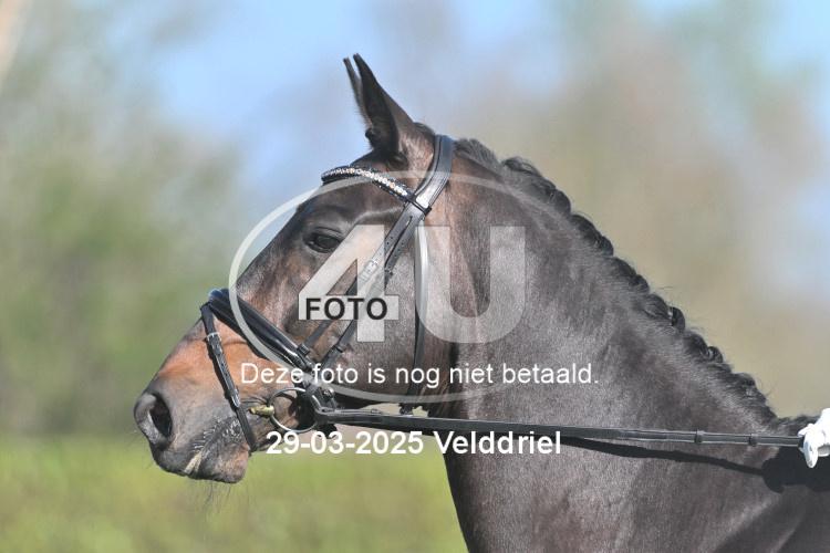 250329 0153