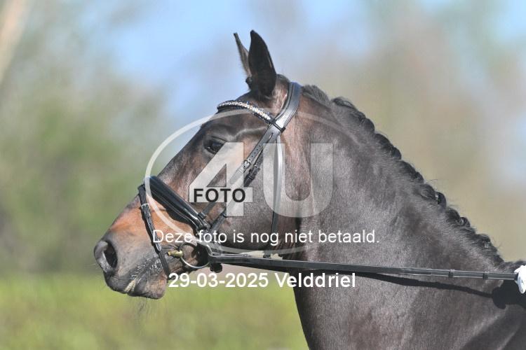 250329 0154