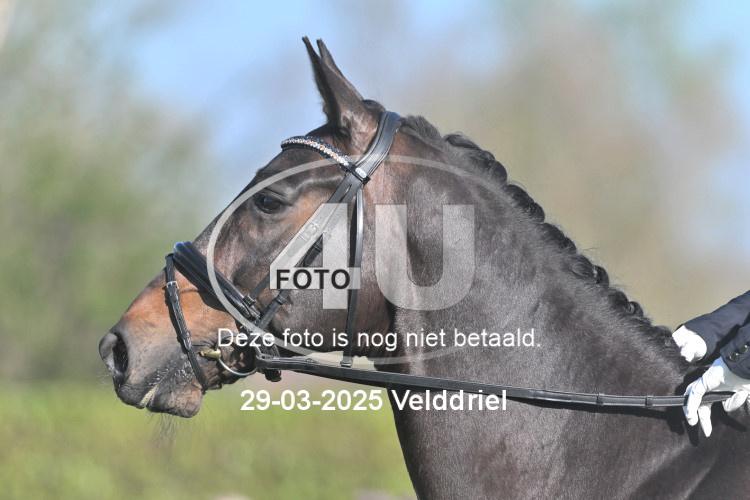 250329 0155