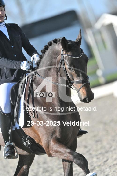 250329 0160