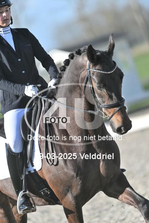 250329 0161