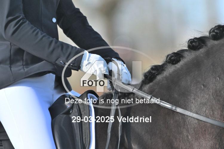 250329 0343