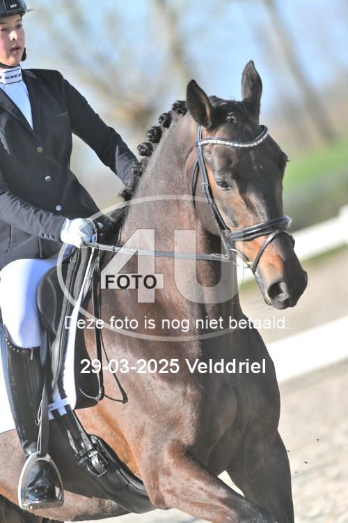 250329 0368