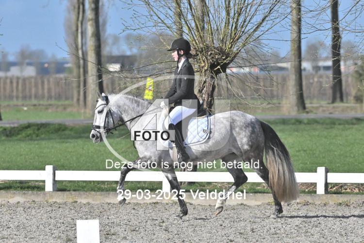 250329 0393