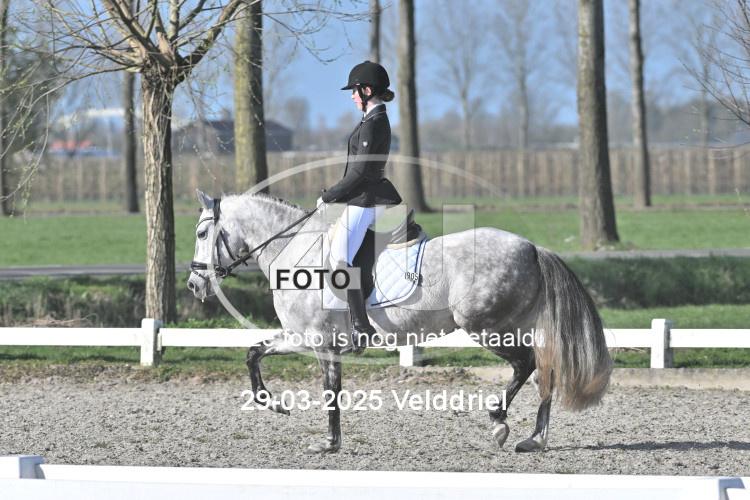 250329 0397