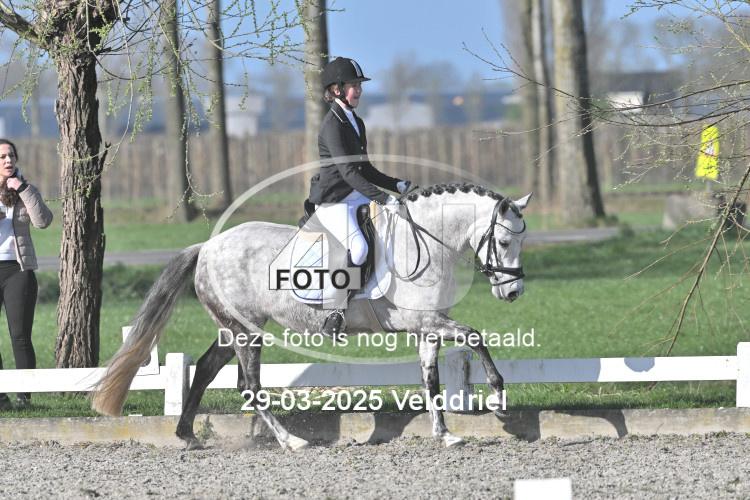250329 0416
