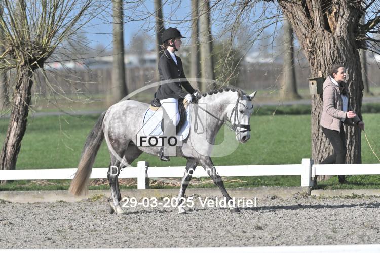 250329 0453