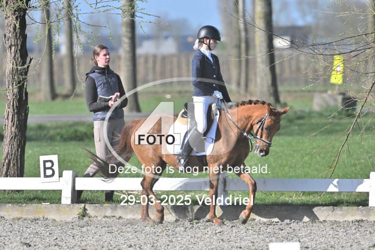 250329 0461