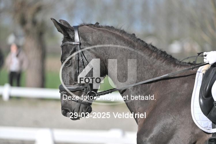 250329 0516