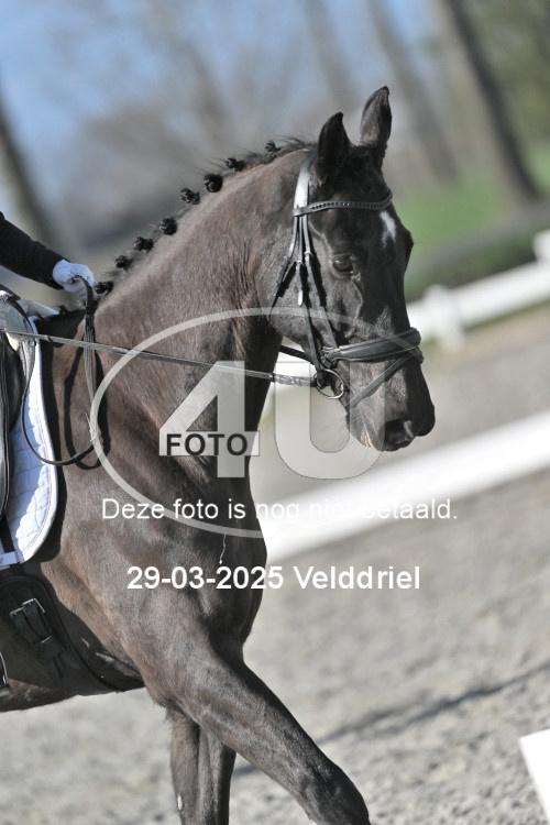 250329 0518