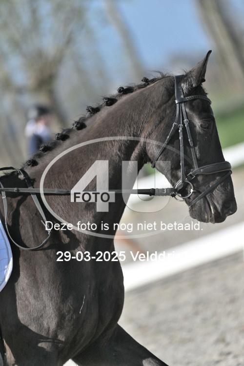 250329 0521