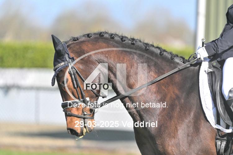 250329 0559