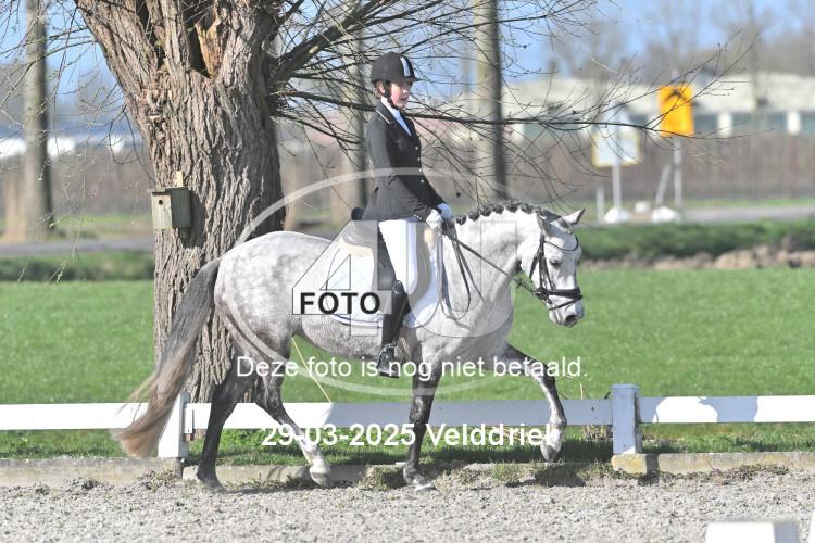 250329 0573