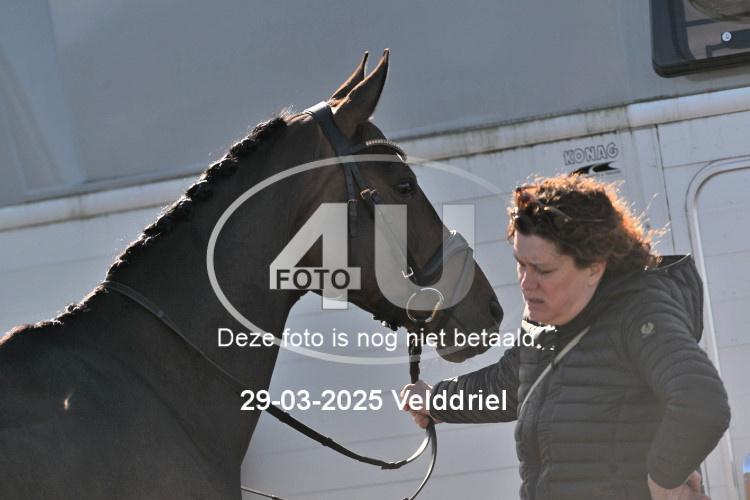 250329 0628