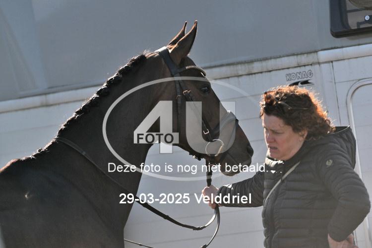 250329 0629