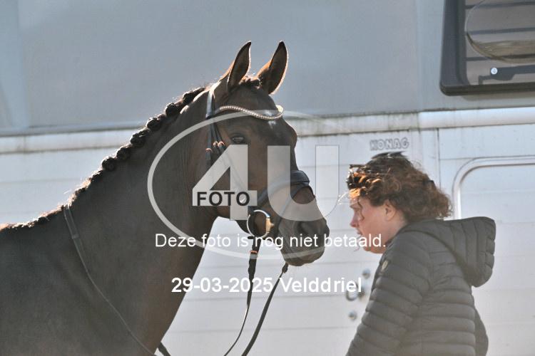 250329 0634