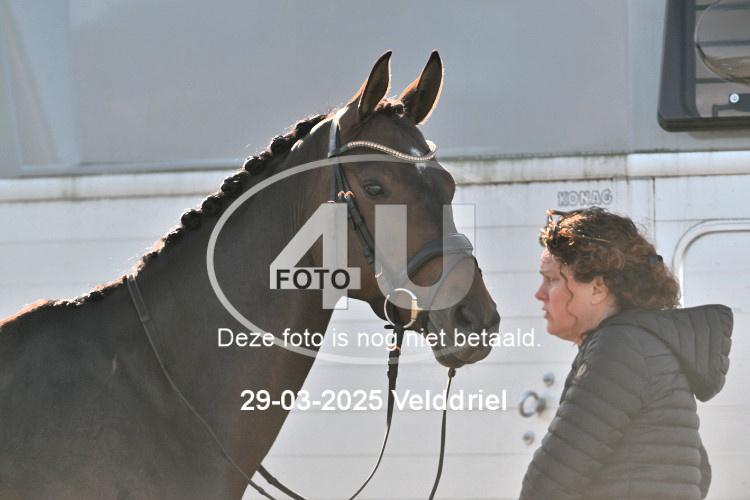 250329 0636