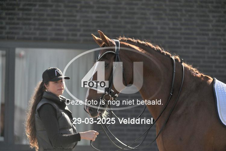250329 0710