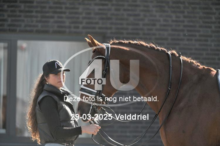 250329 0711