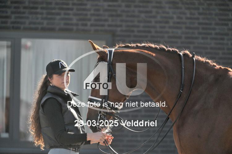250329 0712