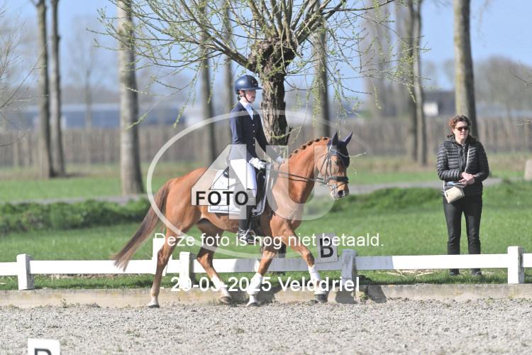 250329 0737