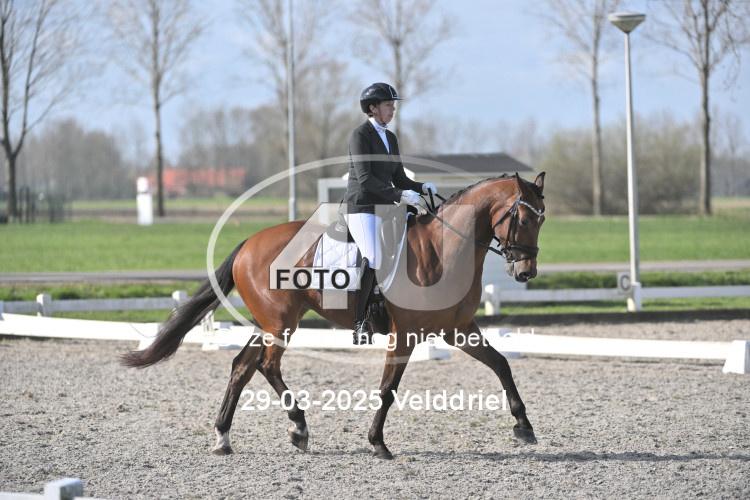 250329 0747