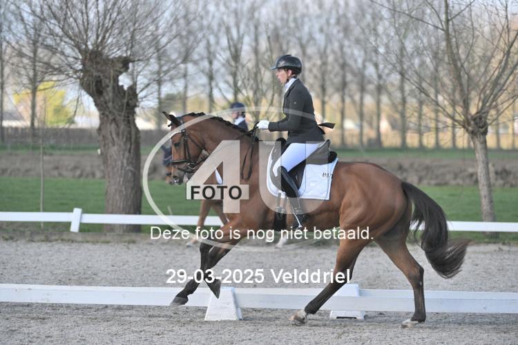 250329 0762