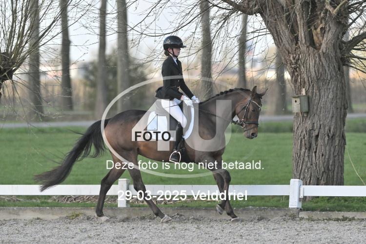 250329 0771