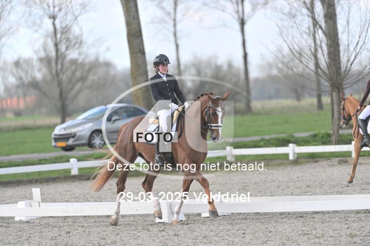 250329 0801