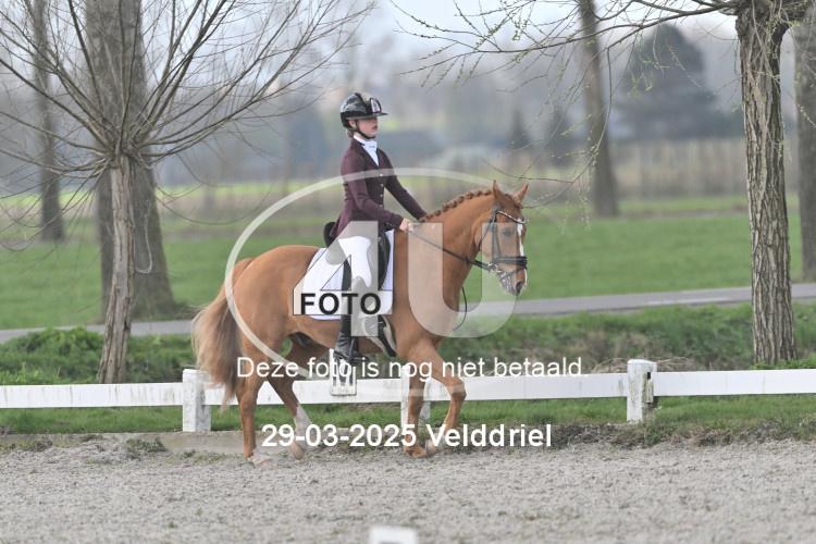 250329 0804