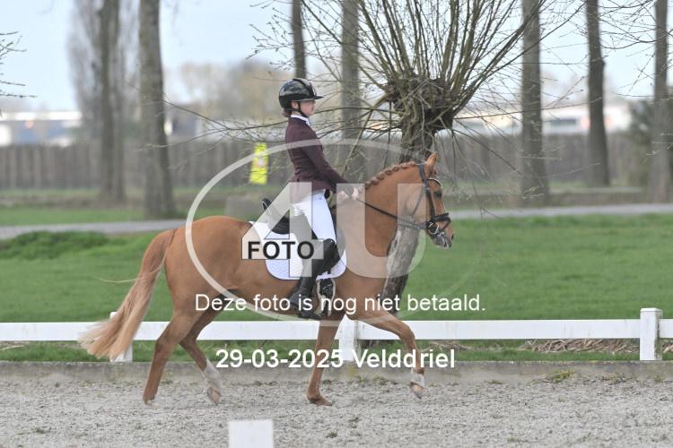 250329 0827