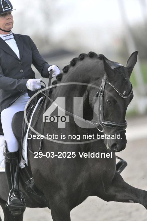 250329 0840