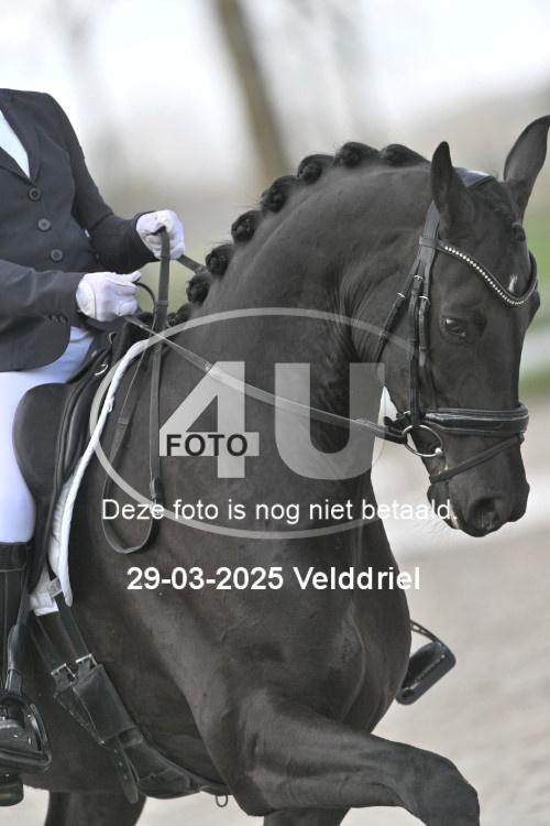250329 0841