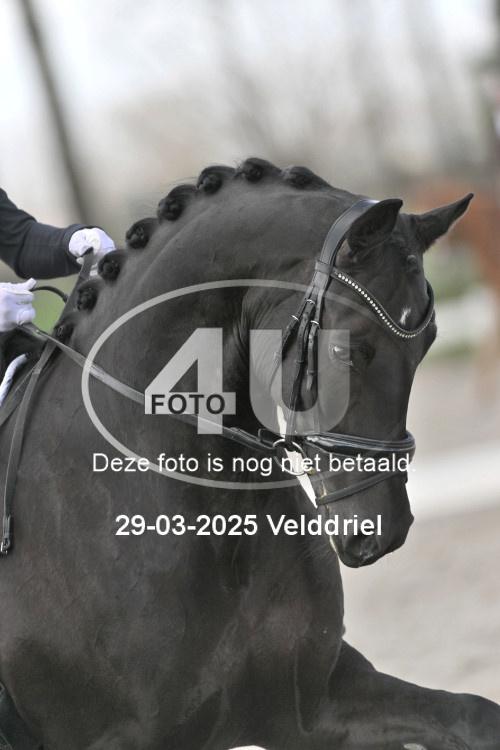250329 0842