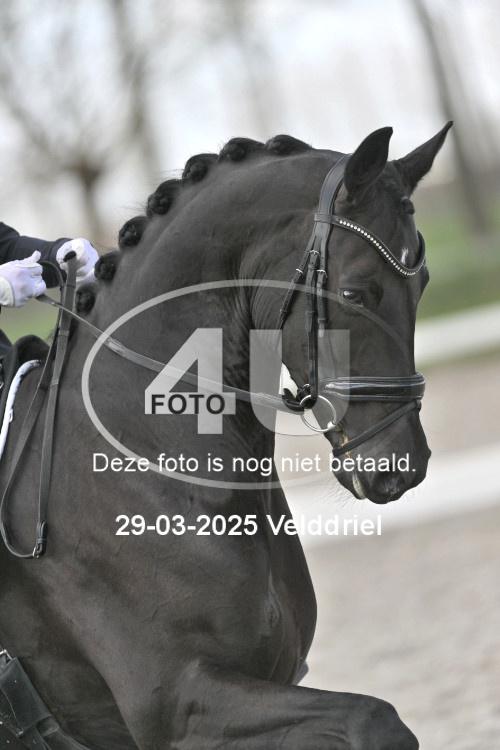 250329 0843
