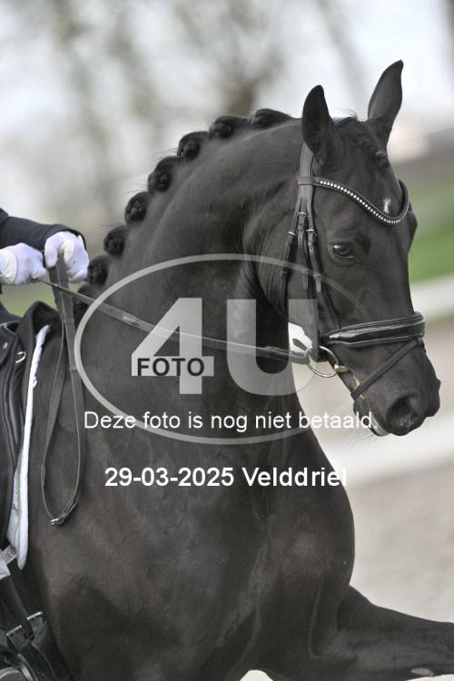 250329 0844