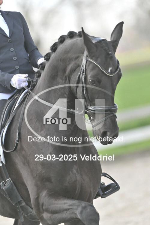250329 0854