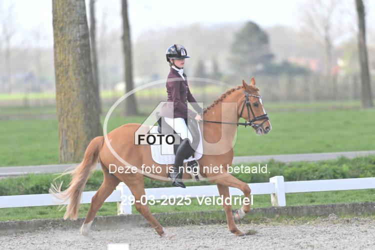 250329 0868