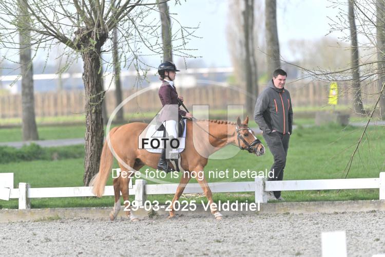 250329 0876