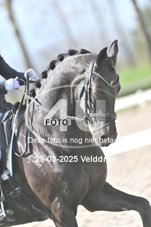 250329 0904