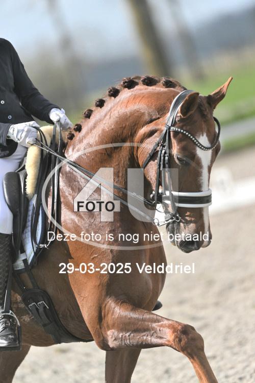 250329 0949